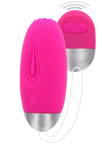ToyJoy Funky Fun Toys Funky Remote Egg