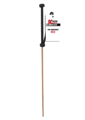 The Obedience Cane