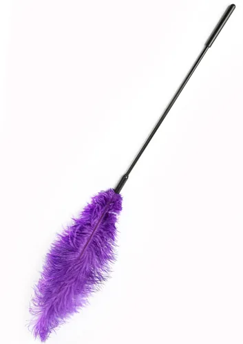 Double Feather Tickler