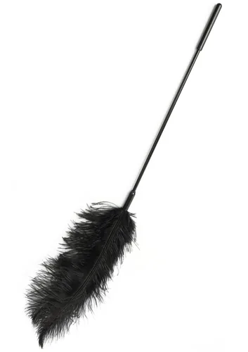 Double Feather Tickler