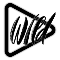 WILDPLAY SPÓŁKA Z OGRANICZONĄ ODPOWIEDZIALNOŚCIĄ
